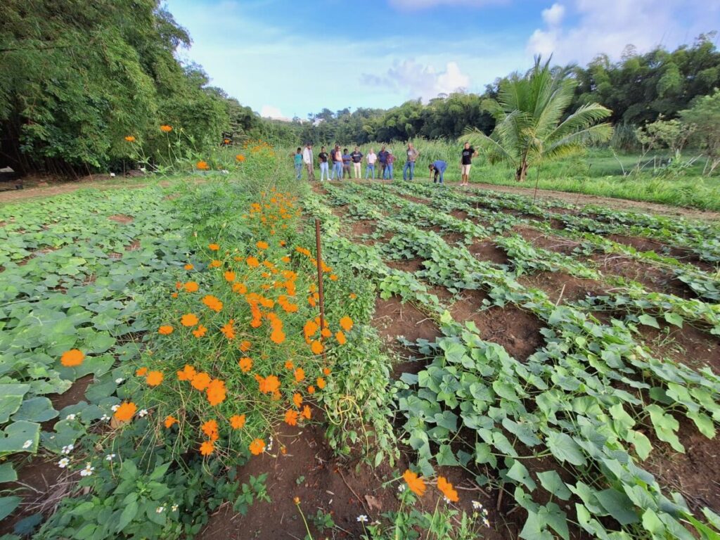 creole gardens