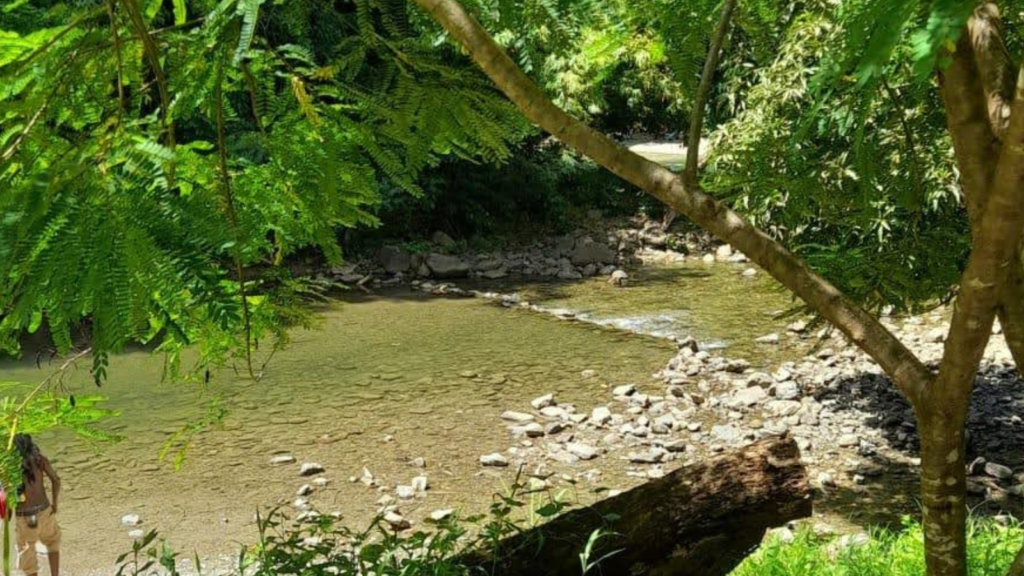 nature