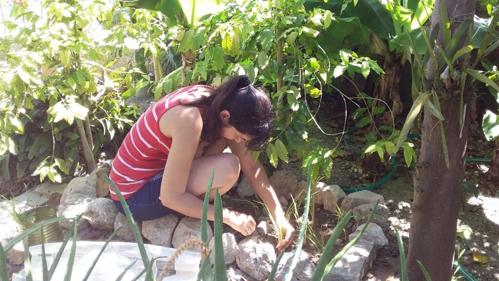 Urban Gardening: A Lifeline in Havana