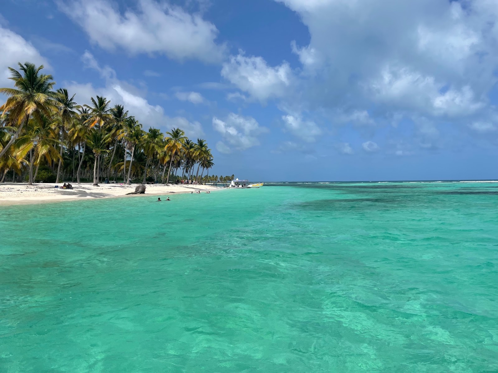 In May 2023, Saona Island pledged to eliminate single-use plastic within 60 days, marking a significant move within the Dominican Republic's main tourism hub.