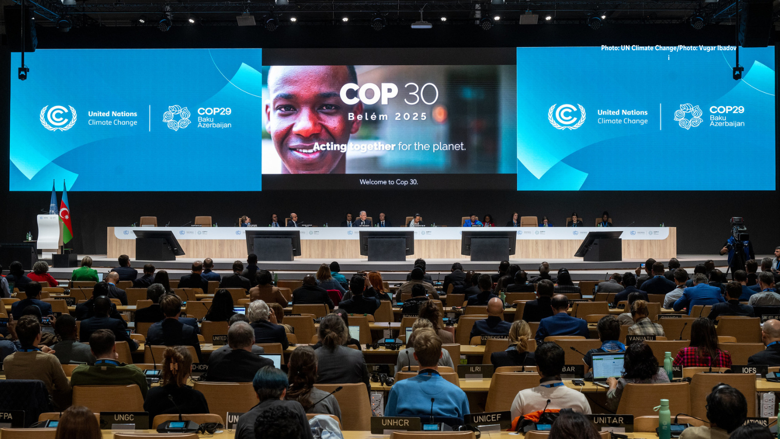 COP29