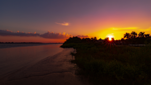 carbon credits