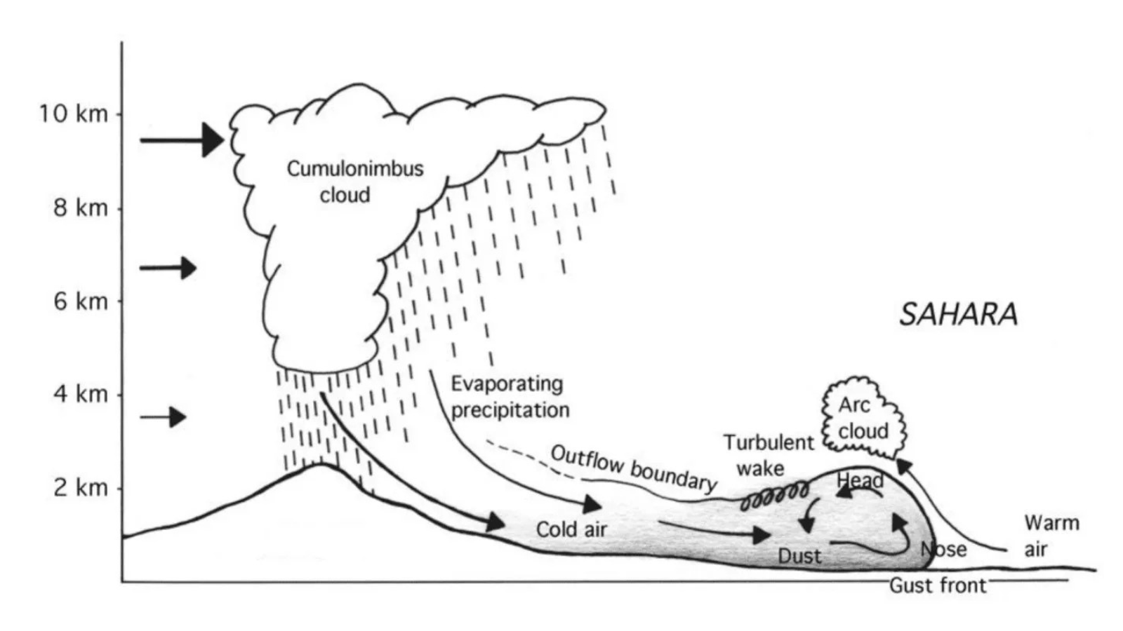 Dust in the wind: How Saharan dust shapes biodiversity in Trinidad and ...