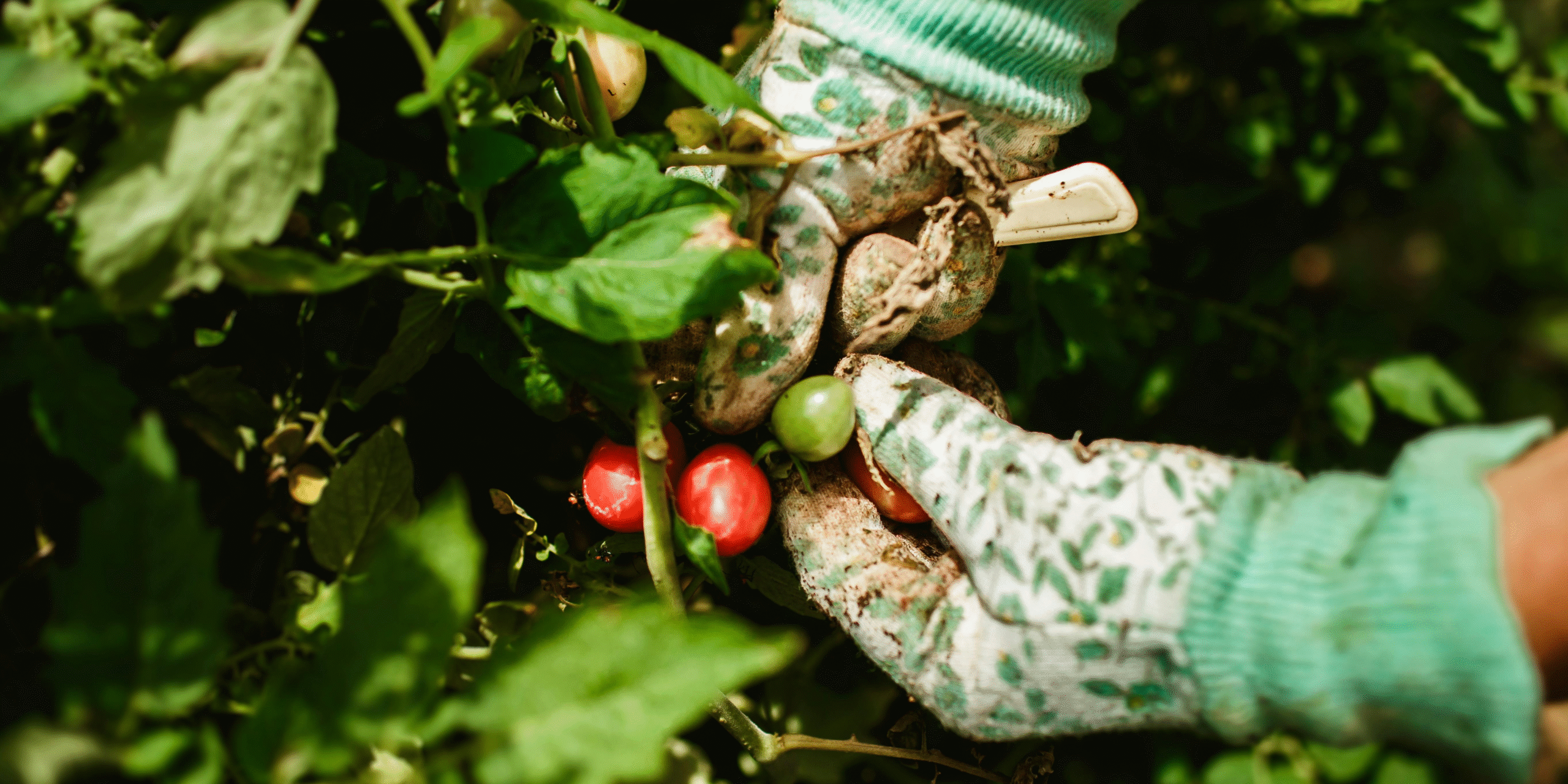 urban Trinidad and Tobago